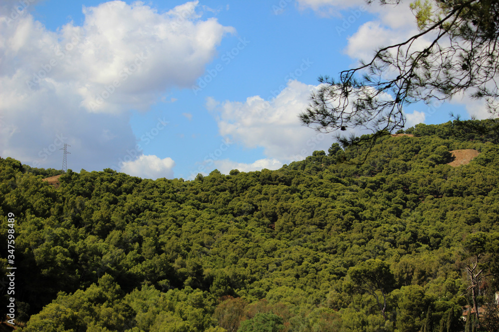 Paisaje del Parque Natural Montes de Málaga (Andalucía, España)