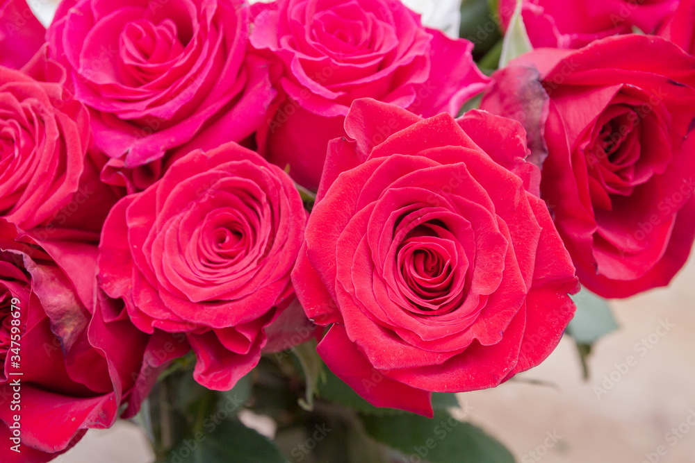 Multi-colored bouquet of red, pink and white roses Multi-colored bouquet of red, pink and white roses