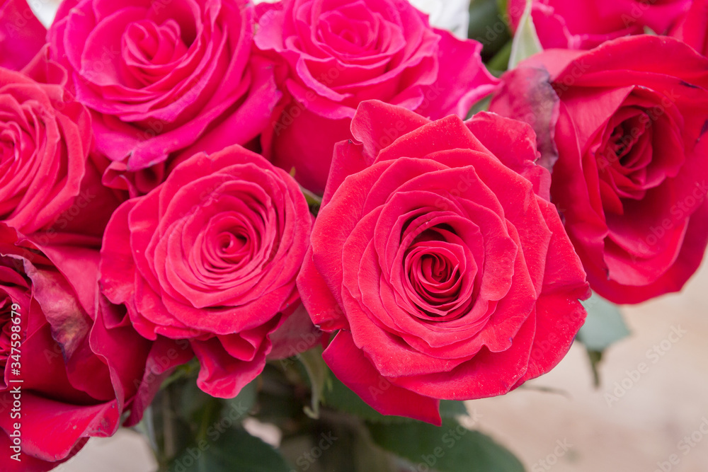 Multi-colored bouquet of red, pink and white roses