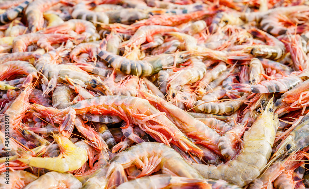 Fresh shrimp at a market