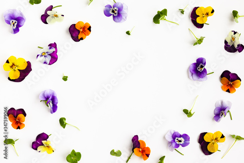 Quadro em tela Spring or summer flower composition with edible pansy and micro greens on white background