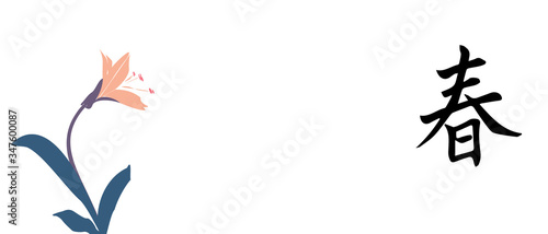 vector illustration of a flower Lily and 
hieroglyph