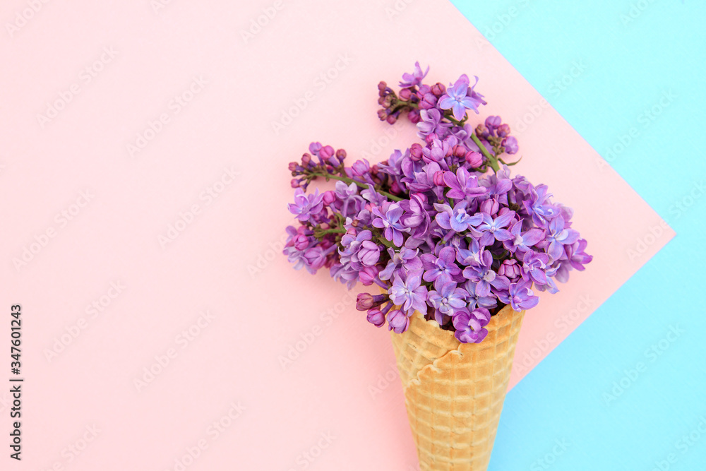 Lilac flowers in an ice cream cone on a pink-blue background. Spring composition.Flat lay, space for text. Valentine's day, mother's day, womens day concept.