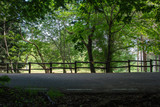 road with fence in the forest