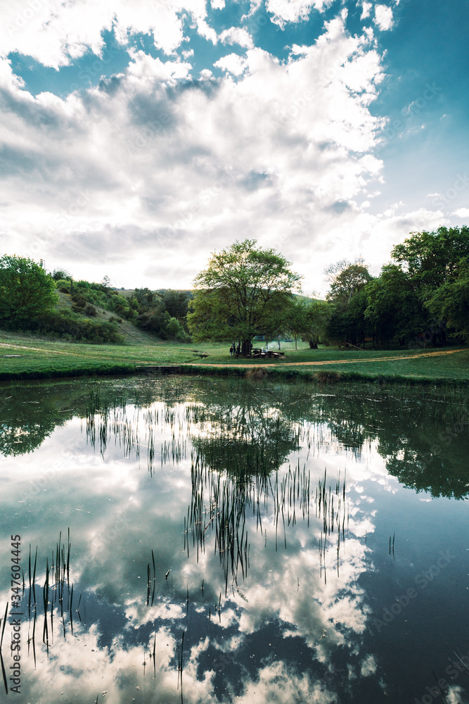 Obraz premium Dramatic sunset over the beautiful crystal blue lake (pond) with green tree and meadow on background. Moody shot of tree in the park in springtime with water reflection in the lake (river).