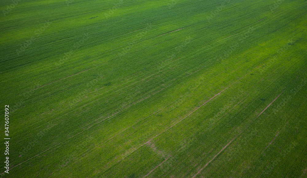 Aerial view on green field from drone Aerial view on green field from drone