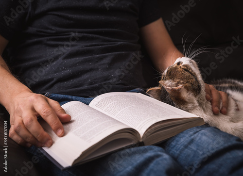 Reading book on sofa with cuddling of cat.