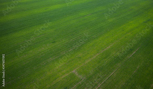Aerial view on green field from drone