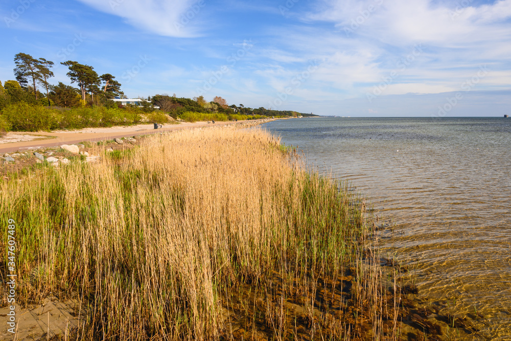 The coast on the Hel Peninsula seen from the pier in Jurata. Poland The coast on the Hel Peninsula seen from the pier in Jurata. Poland