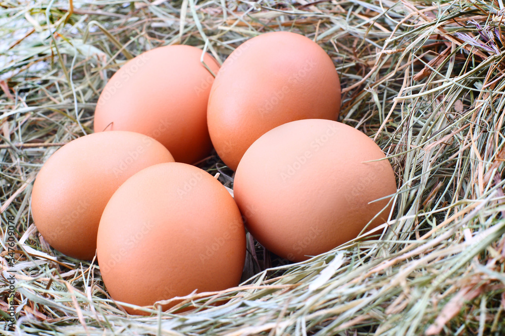 five chicken eggs in a straw