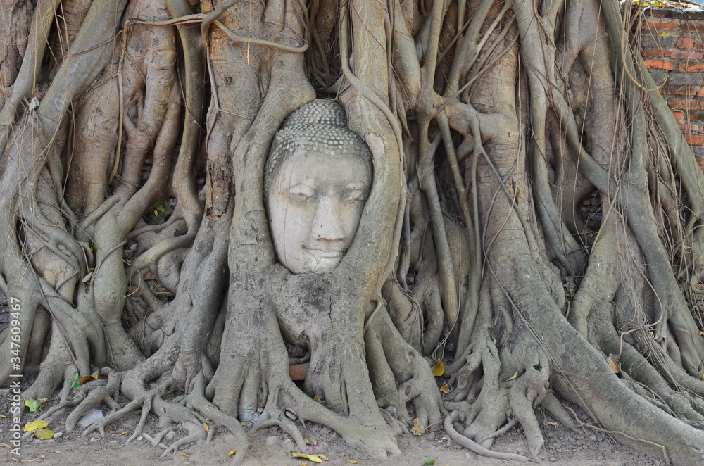 Mystic Buddha face, hidden in a banyan tree in Wat Mahathat, Ayutthaya