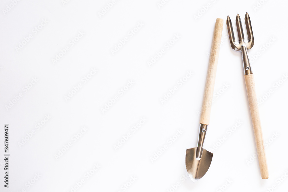 Fototapeta premium Tools for gardening at home. Growing food on windowsill. Copyspace for text, top view. Flatlay on white background