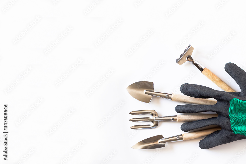 Gardening at home. Growing food on windowsill. Tools and farmer gloves. Copyspace for text, top view. Flatlay on white wooden background Gardening at home. Growing food on windowsill. Tools and farmer gloves. Copyspace for text, top view. Flatlay on white wooden background