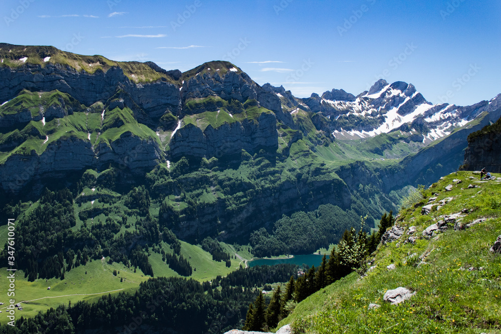 swiss alps in the summer