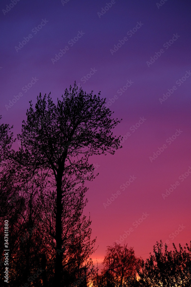 Sunset Sky Gradient evening nature Sunset Sky Gradient evening nature