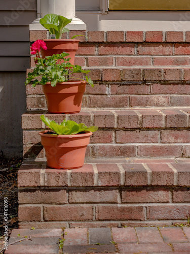 container gardening on front steps; plants in pots