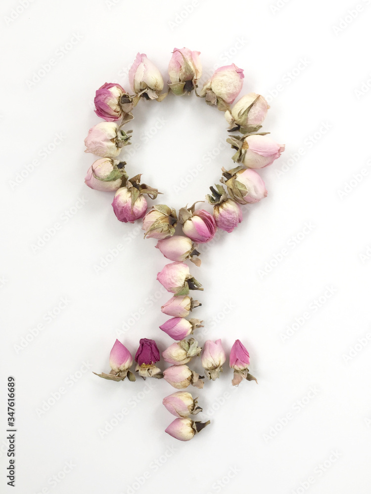 Female badge, made of pink roses on a white background.