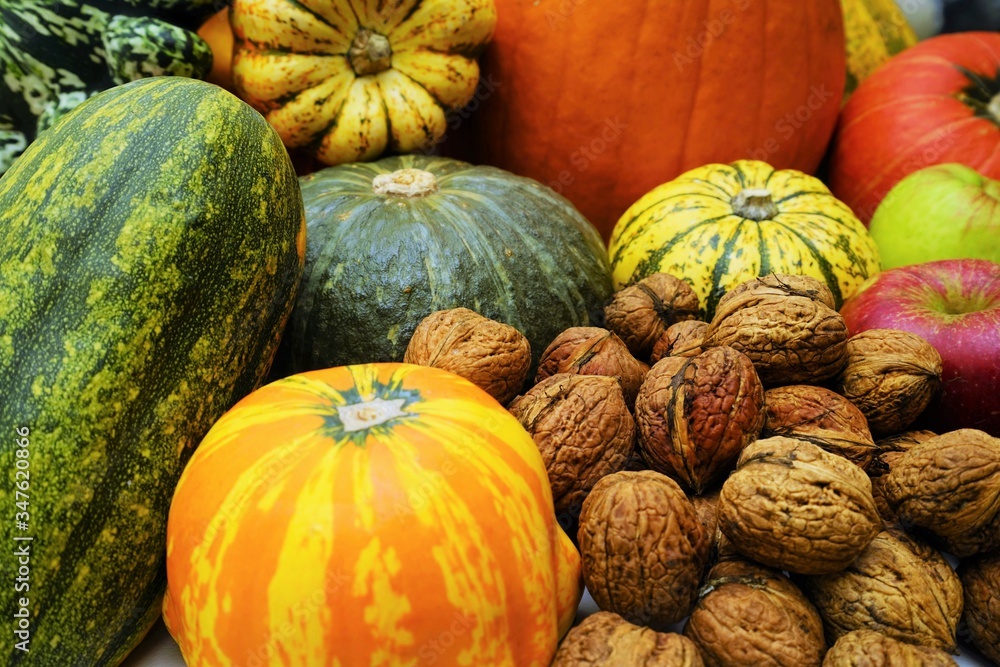 Many different pumpkins on a wooden table