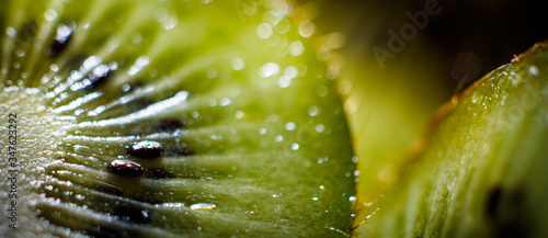 macro shot of kiwi fruit