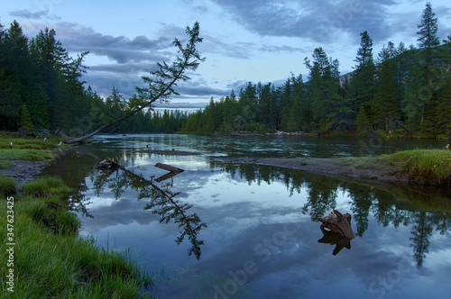 Forest river with green shores on a summer night.