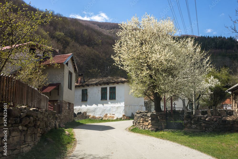 Village Dojkinci, popular tourist place on Old Mountain (Stara planina) in Serbia