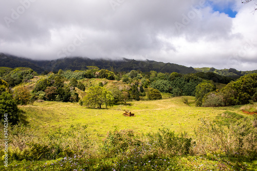 An old abandoned tractor in the middle of a tropical field in Hawaii. photo