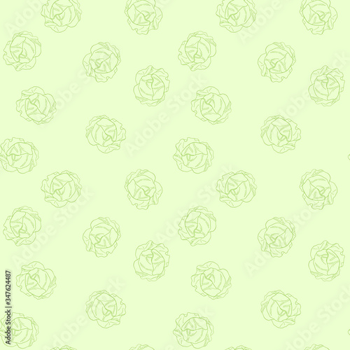 Seamless colorful hand drawn vector cabbage pattern texture. Organic vegetarian product. Vector for design packaging, wrapping, background, banner, poster, notebook, print.