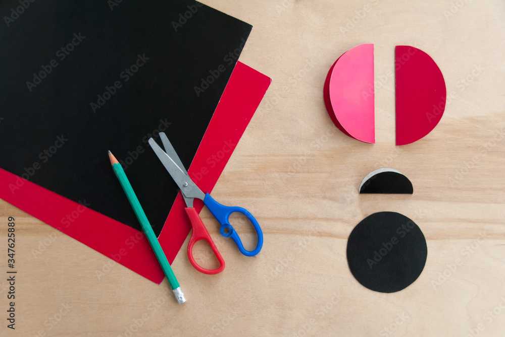 Foto de How to make cardboard colourful ladybird DIY. Homemade craft