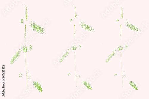 Willow branches on a white background. Elegant background. Delicate drawing.