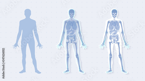 Futuristic hologram anatomy organ human body, innovation interface x-ray man.