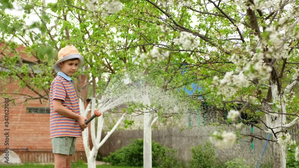 Little boy in a hat is watering a tree with a hose at the dacha. Little boy in a hat is watering a tree with a hose at the dacha.