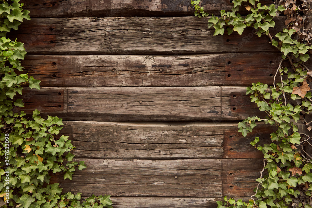 Fototapeta premium old wooden wall