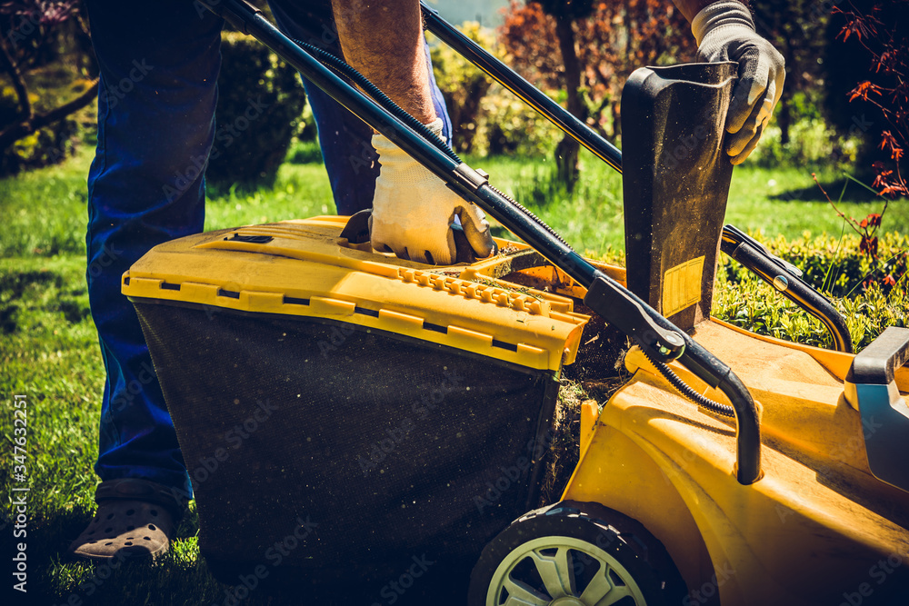 Fototapeta premium Mowing the grass. A man mows the grass with an electric mower. The concept of working in the garden and caring for the beauty of the garden. The gardener pulls a grass basket out of the mower.