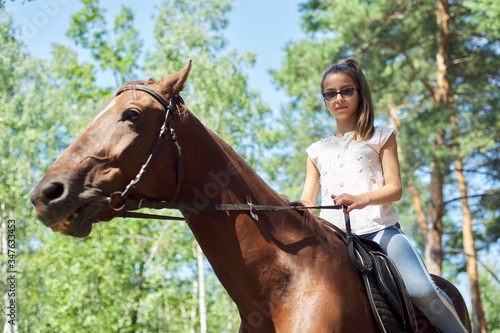 Teenager girl riding a brown horse, horseback riding for people in the park © Valerii Honcharuk