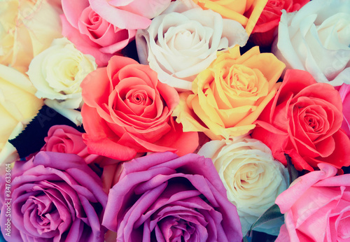 Beautiful garden bouquet of multicolored roses