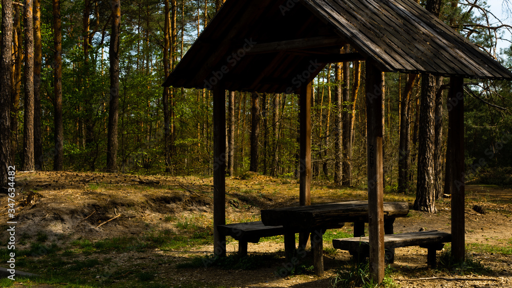 Trees and benches with a table in the Sokole Góry reserve in Olsztyn.