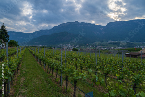 The municipality of Appiano near Bolzano in the Italian south of Tyrol. © pawelgegotek1
