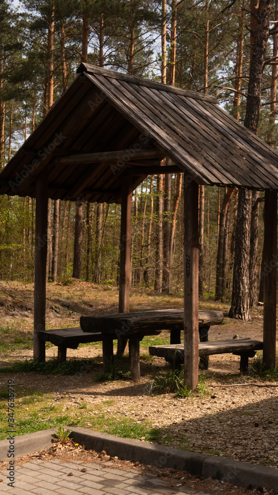 Trees and benches with a table in the Sokole Góry reserve in Olsztyn. Trees and benches with a table in the Sokole Góry reserve in Olsztyn.
