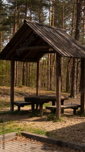 Trees and benches with a table in the Sokole Góry reserve in Olsztyn.