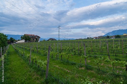 The municipality of Appiano near Bolzano in the Italian south of Tyrol.