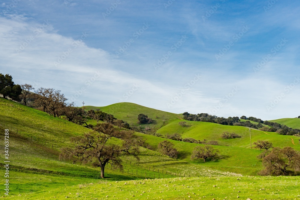 landscape with green hills and blue sky