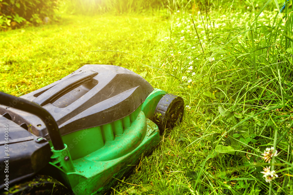 Fototapeta premium Man cutting green grass with lawn mower in backyard. Gardening country lifestyle background. Beautiful view on fresh green grass lawn in sunlight, garden landscape in spring or summer season.