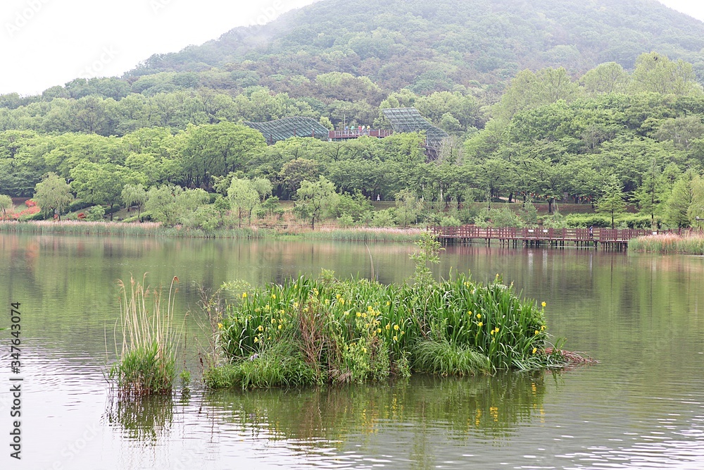 한국 인천시 남동구 인천대공원 입니다