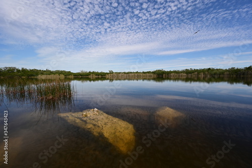 Beautiful summer cloudscape reflected on calm water of Nine Mile Pond in Everglades National Park  Florida with large exposed boulders in foreground.