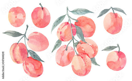 Collection of pink peaches, branches and leaves. Hand drawn watercolor illustration on white background photo