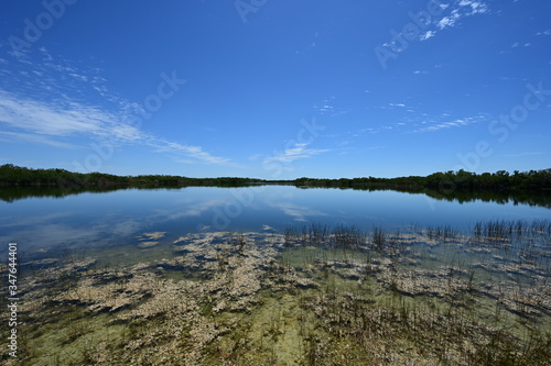 Beautiful summer cloudscape reflected on very calm water of Nine Mile Pond in Everglades National Park, Florida.