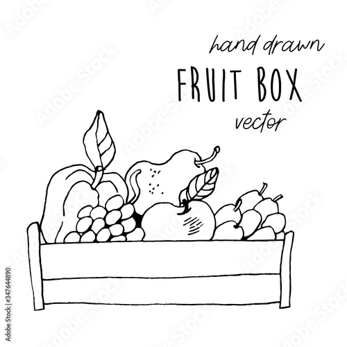 Wooden fruit box hand drawn vector illustration.