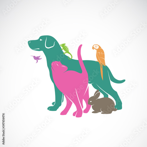 Vector group of pets - Dog, Cat, Parrot, Chameleon, Rabbit, Hummingbird isolated on white background., Animals set. Vector pets for your design. Easy editable layered vector illustration. © yod67