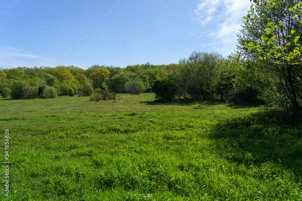 Beautiful natural surroundings at Stenhuvud national park in Simrishamn, Sweden. Beautiful natural surroundings at Stenhuvud national park in Simrishamn, Sweden.