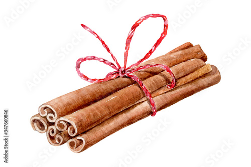 Set of watercolor cinnamon sticks and tea spices anise, cloves, cardamom on white background.
